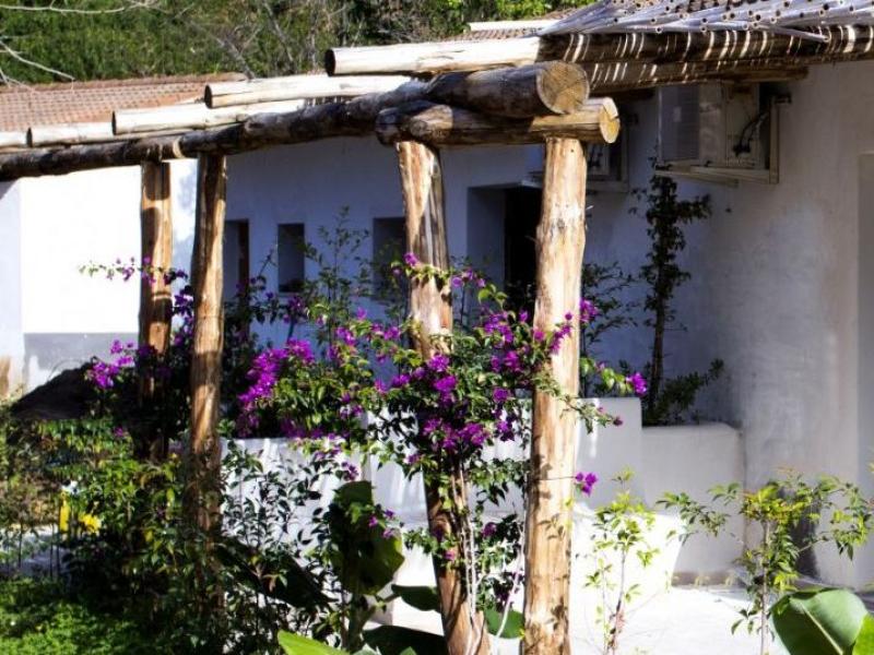 Veranda rustica con fiori viola, atmosfera serena e accogliente immersa nella natura.